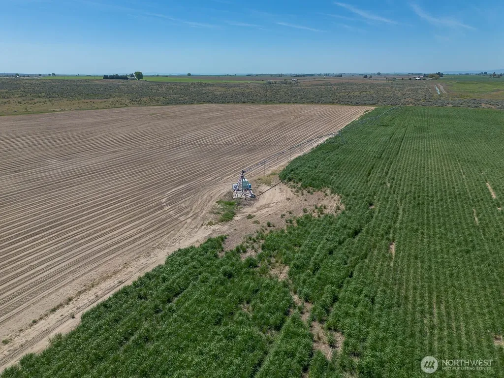 4601 Sr 17 Mesa WA 99343