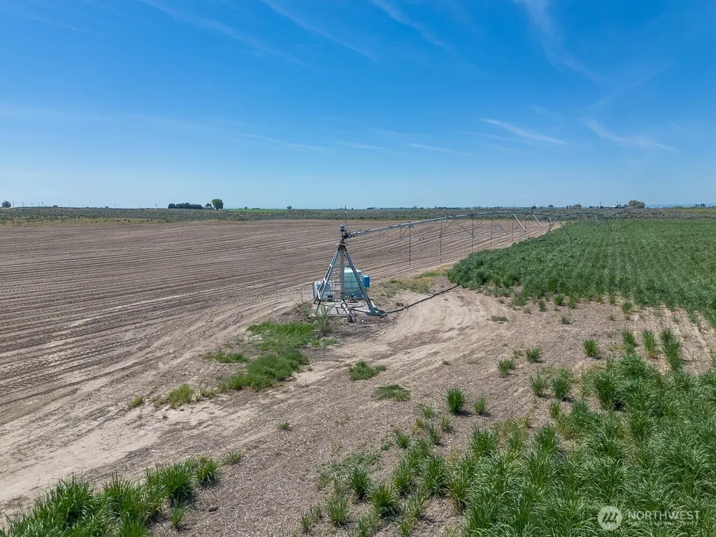 4601 Sr 17 Mesa WA 99343