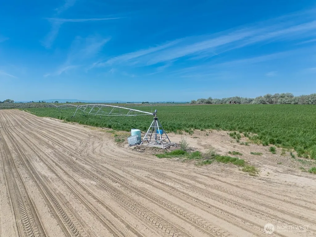 4601 Sr 17 Mesa WA 99343