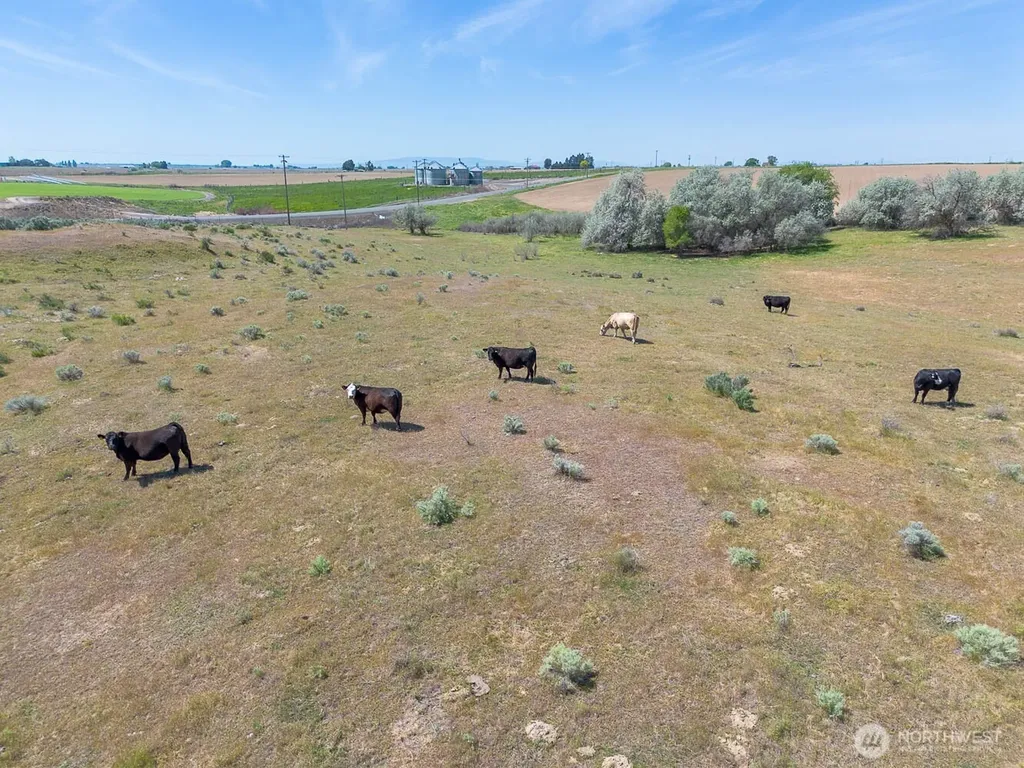 4601 Sr 17 Mesa WA 99343