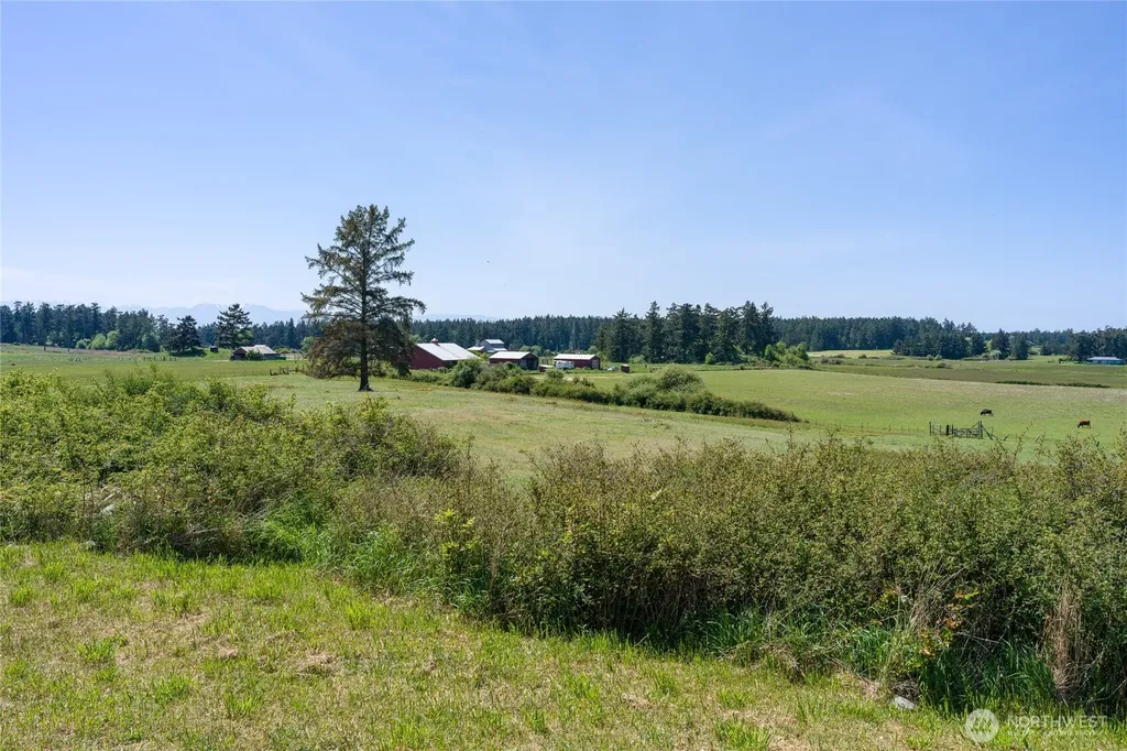 124 Donna's Lane Lopez Island WA 98261