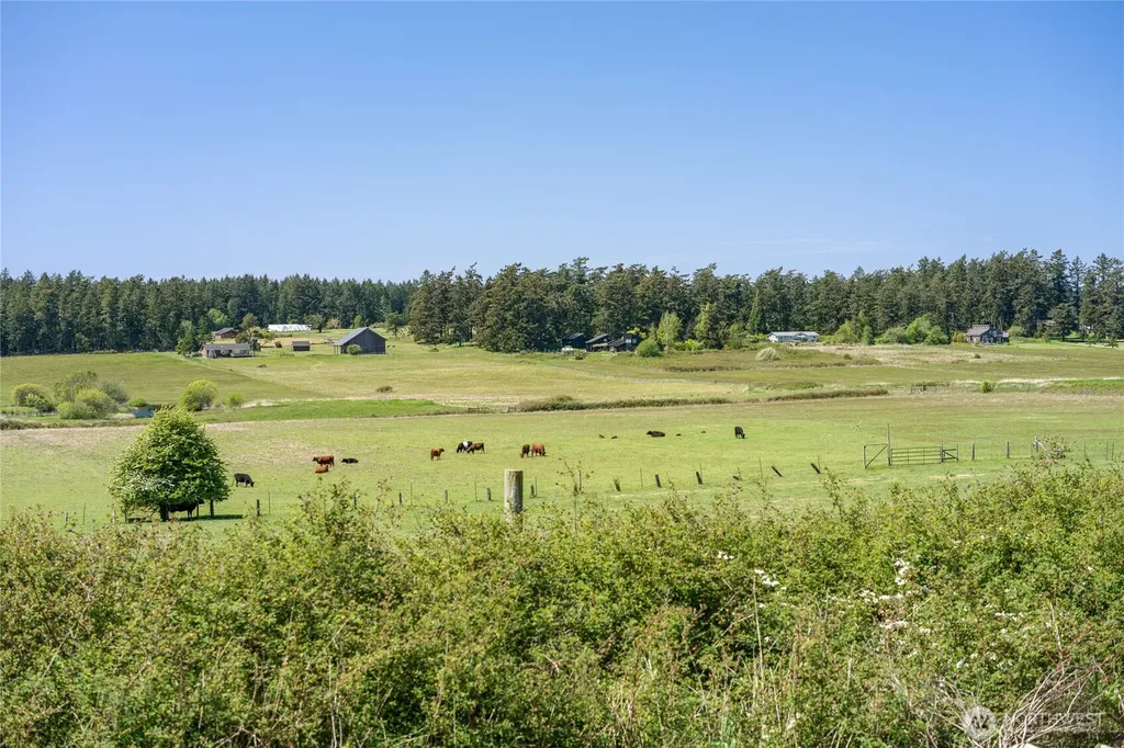 124 Donna's Lane Lopez Island WA 98261