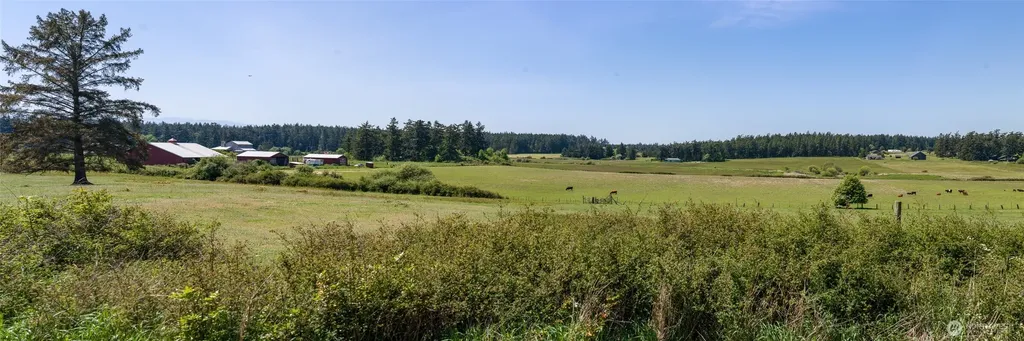 124 Donna's Lane Lopez Island WA 98261
