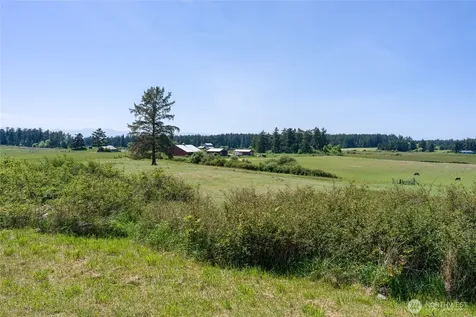 124 Donna's Lane Lopez Island WA 98261