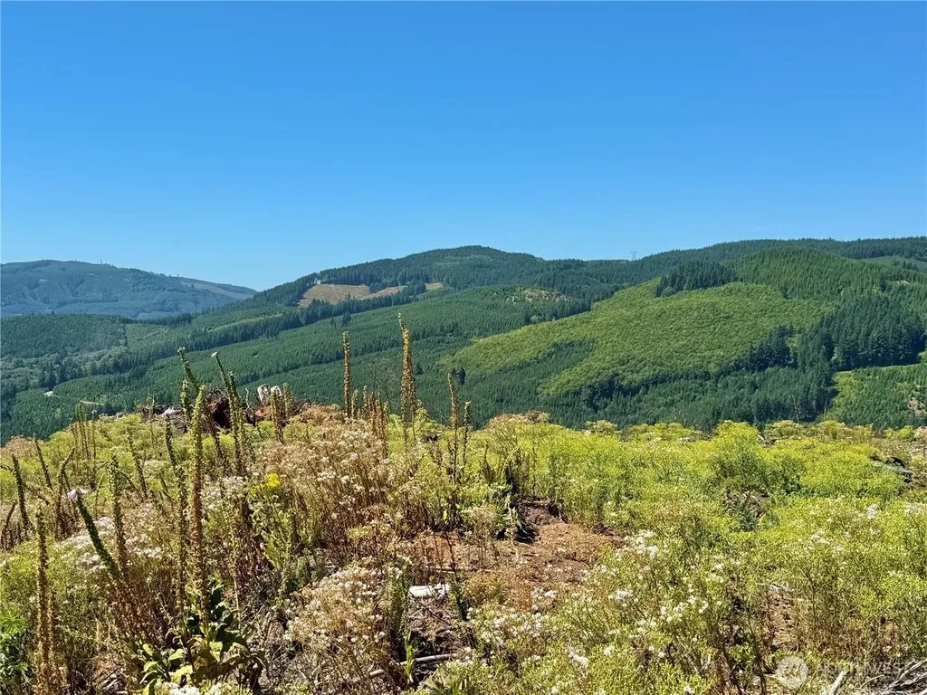 3700 Little Kalama River Road Woodland WA 98674