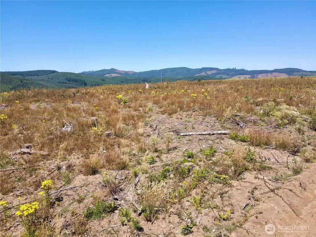 3700 Little Kalama River Road Woodland WA 98674