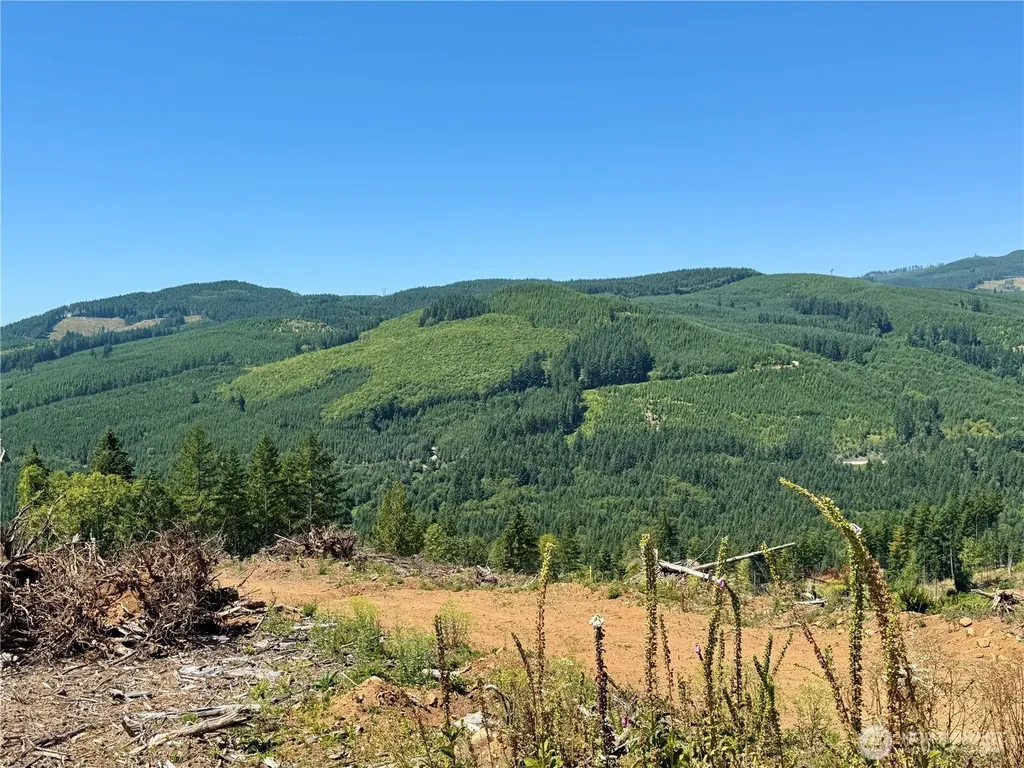 3700 Little Kalama River Road Woodland WA 98674