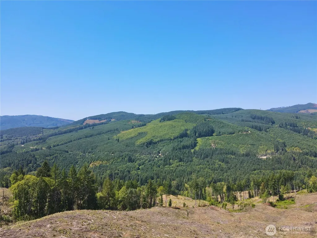 3700 Little Kalama River Road Woodland WA 98674