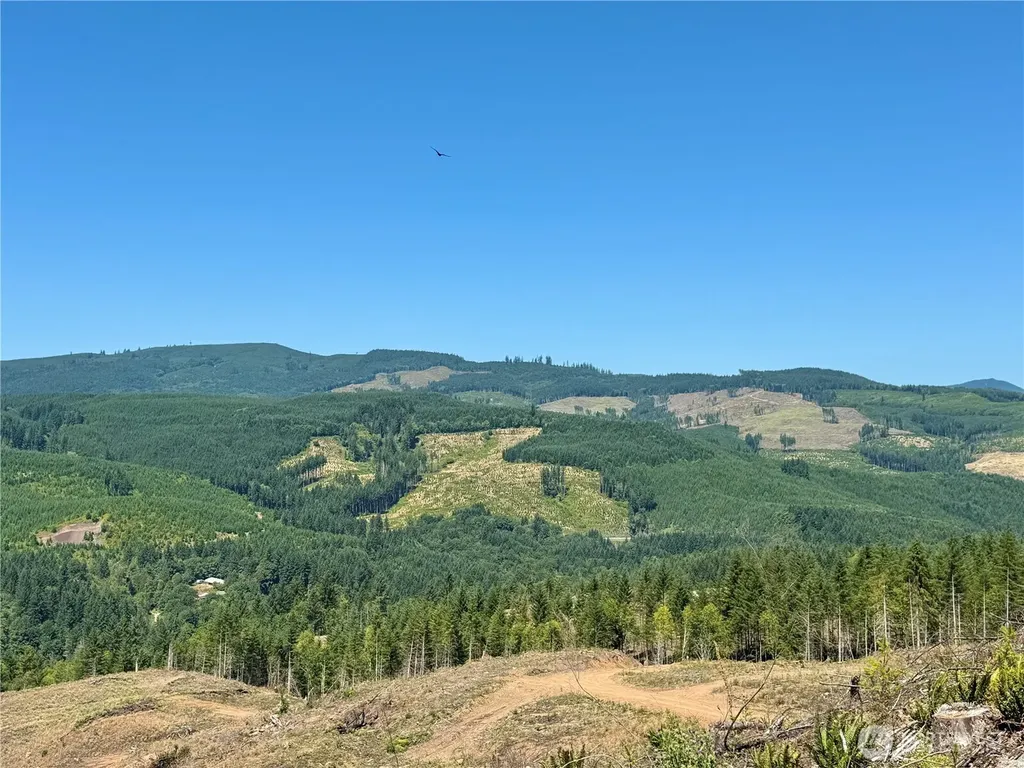 3700 Little Kalama River Road Woodland WA 98674