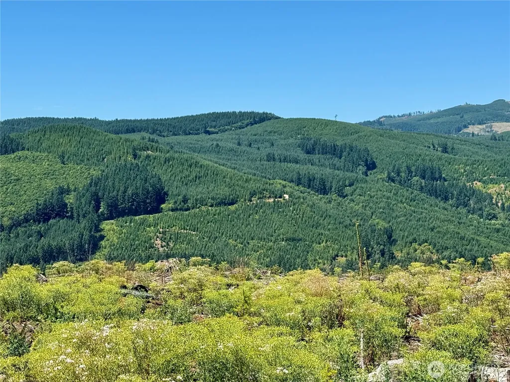 3700 Little Kalama River Road Woodland WA 98674