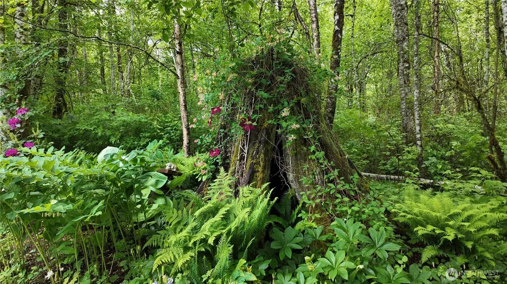 2909 Overpass Road Bow WA 98232