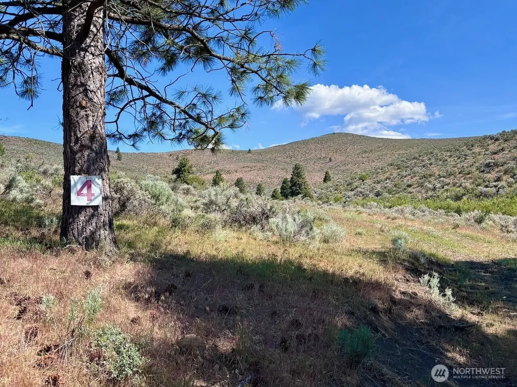 4 Secret Canyon Road Ellensburg WA 98926