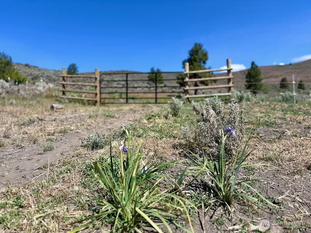 4 Secret Canyon Road Ellensburg WA 98926