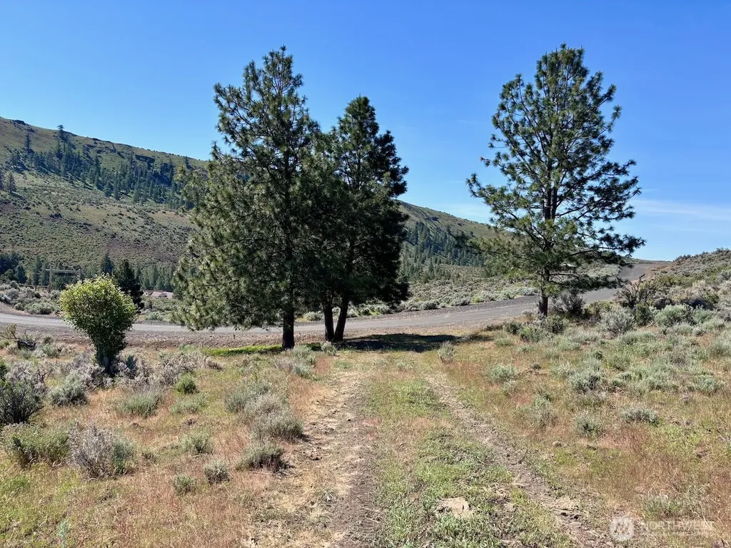 4 Secret Canyon Road Ellensburg WA 98926