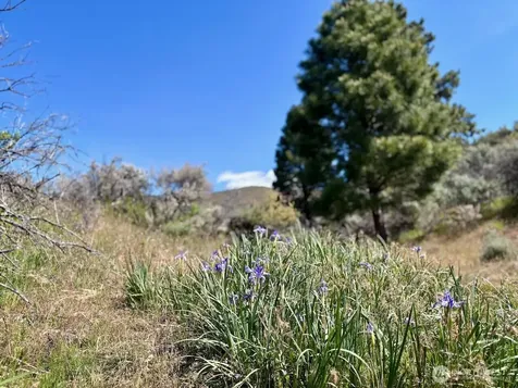 4 Secret Canyon Road Ellensburg WA 98926
