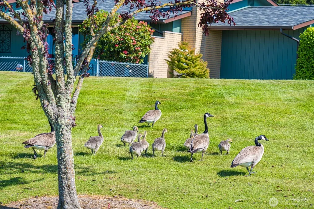 1301 S Third Avenue Sequim WA 98382