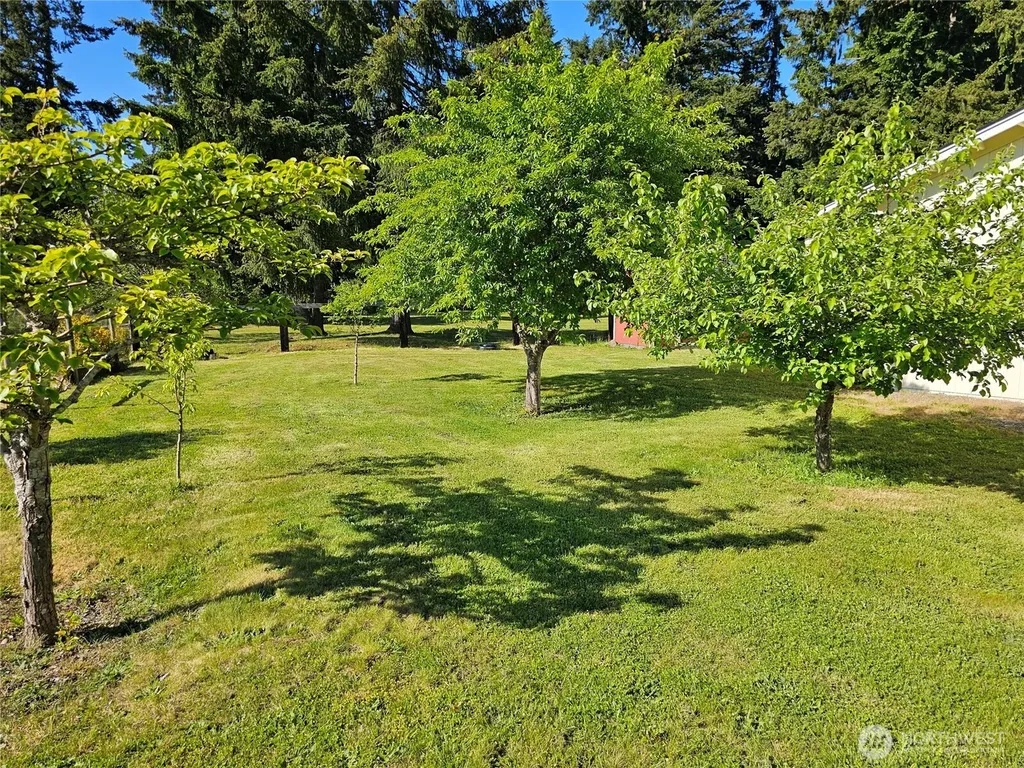 17103 Camas Run Lane SW Rochester WA 98579