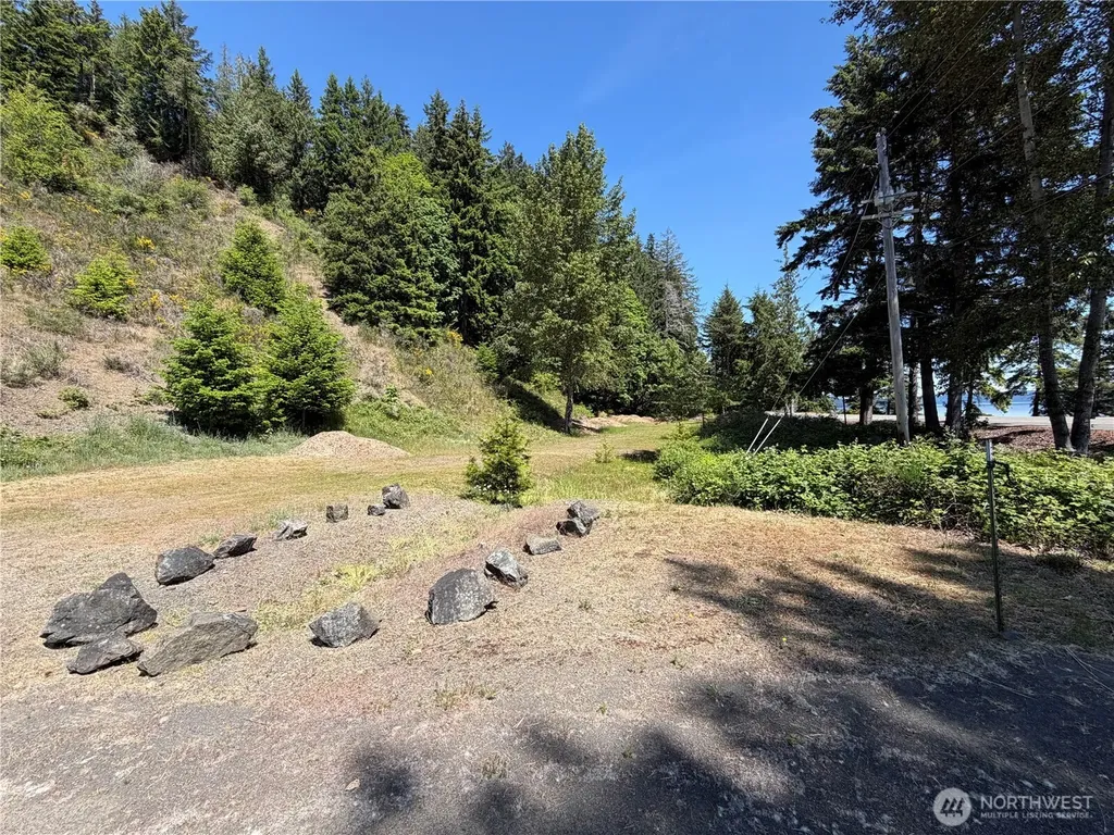 1 Buena Vista Way Brinnon WA 98320