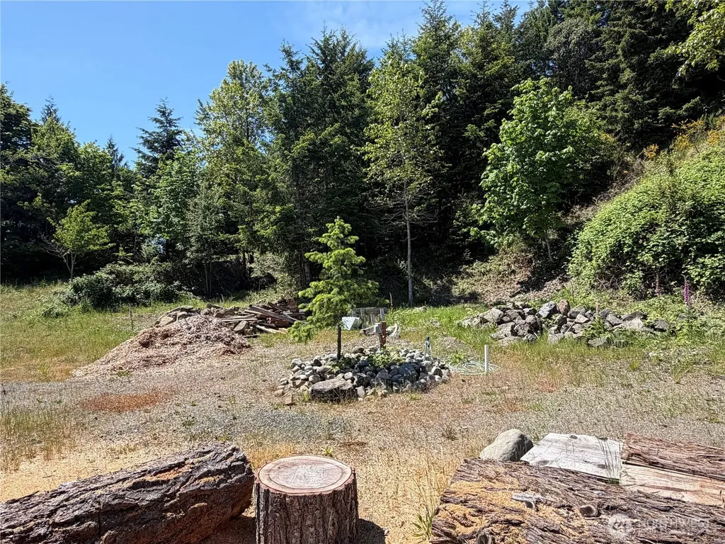 1 Buena Vista Way Brinnon WA 98320