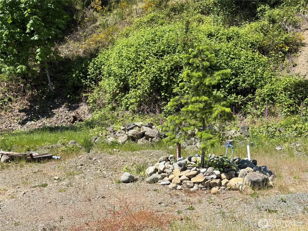 1 Buena Vista Way Brinnon WA 98320