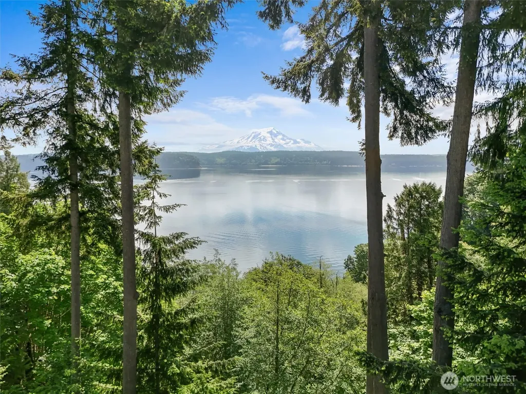 10823 Seaview Drive Anderson Island WA 98303