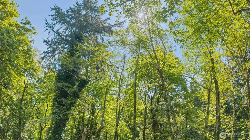 Longbranch WA 98351