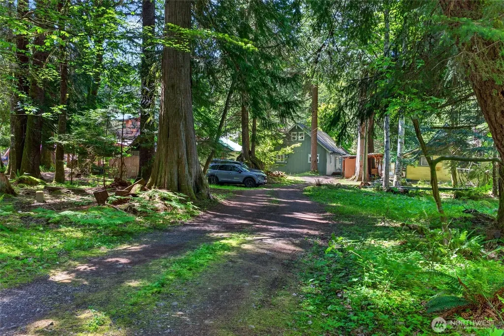 52225 SE 496th Place Greenwater WA 98022