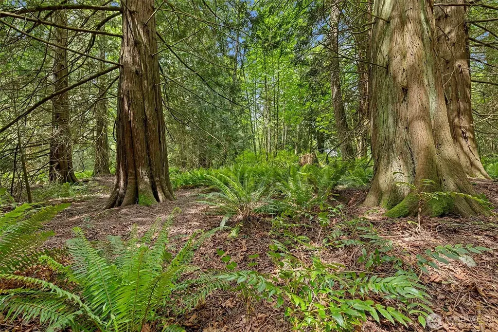 15910 58th Avenue NW Stanwood WA 98292