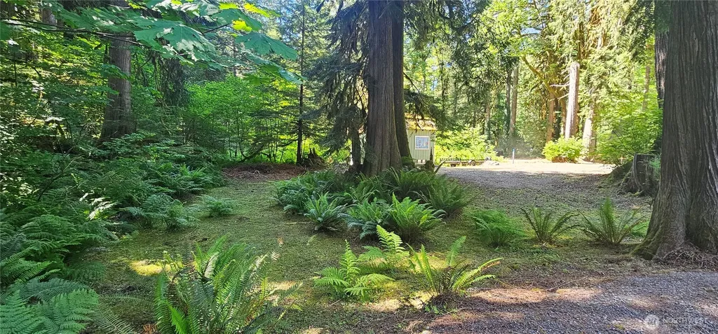63702 Marblemount Way Marblemount WA 98267