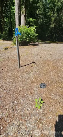 63702 Marblemount Way Marblemount WA 98267