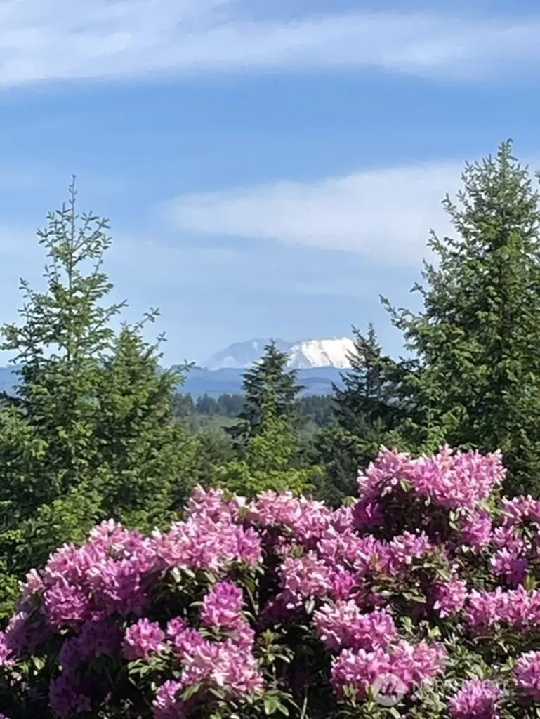 167 Hilltop View Drive Chehalis WA 98532