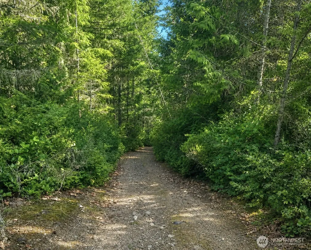 7611 N Triton Heights Road Lilliwaup WA 98555