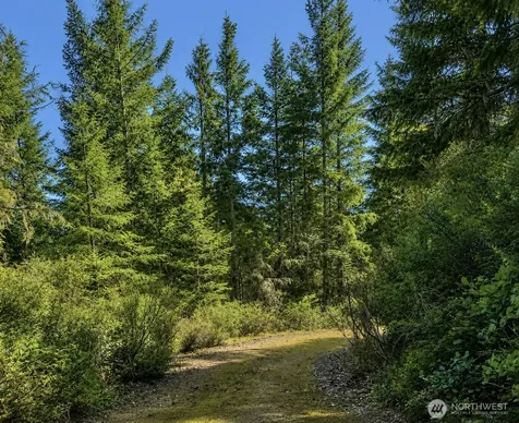 7611 N Triton Heights Road Lilliwaup WA 98555