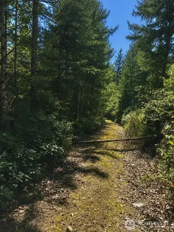 7611 N Triton Heights Road Lilliwaup WA 98555