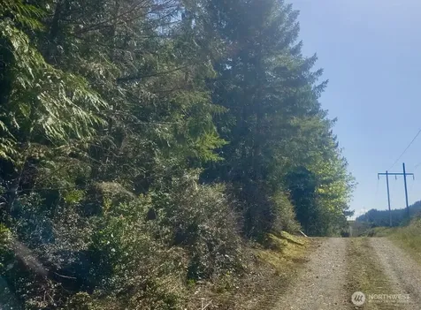 7611 N Triton Heights Road Lilliwaup WA 98555