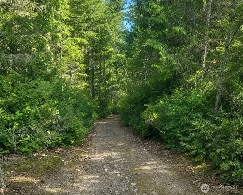 7611 N Triton Heights Road Lilliwaup WA 98555