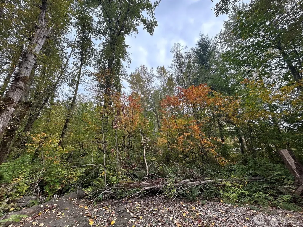 10604 258th Ave E Buckley WA 98321