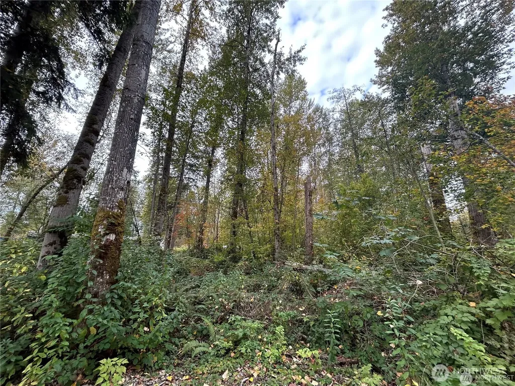 10604 258th Ave E Buckley WA 98321