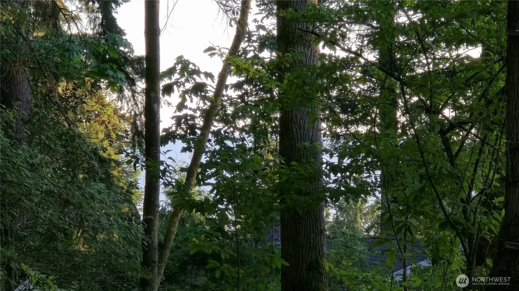 4156 Agate Road Bellingham WA 98226