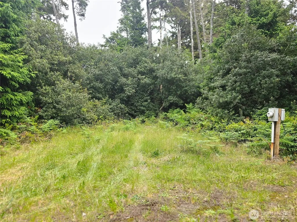 30808 J Place Ocean Park WA 98640