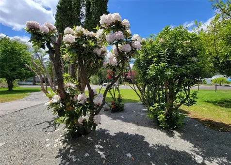 11801 28th Avenue E Tacoma WA 98445