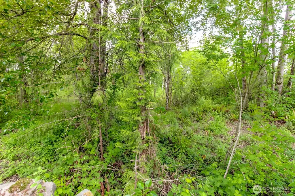 9506 10th Avenue E Tacoma WA 98445