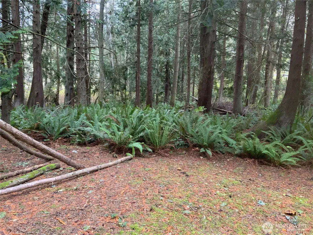 4853 Cape George Road Port Townsend WA 98368