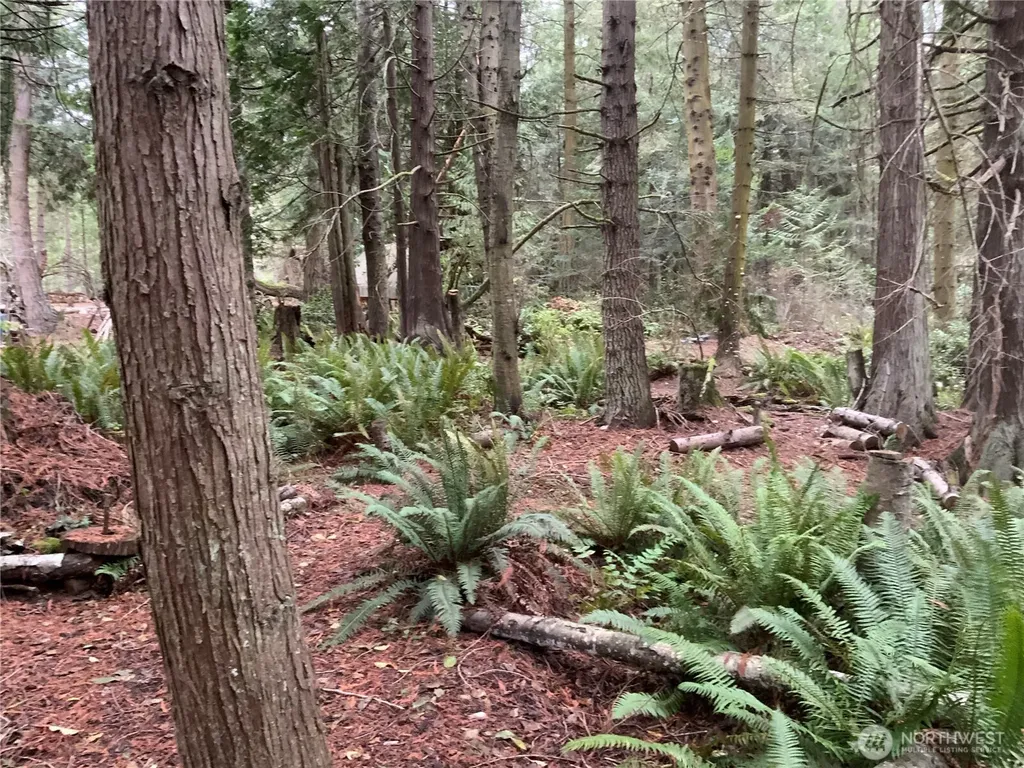 4853 Cape George Road Port Townsend WA 98368