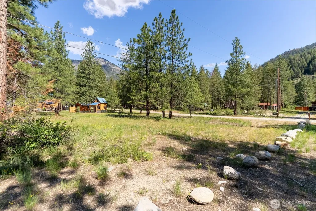 13 Littel Road Mazama WA 98833