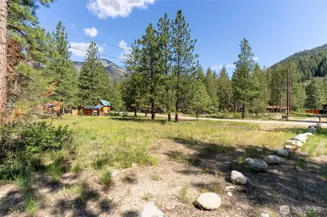 13 Littel Road Mazama WA 98833
