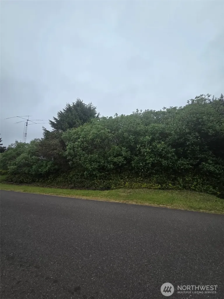 392 S Wynoochee Drive SW Ocean Shores WA 98569