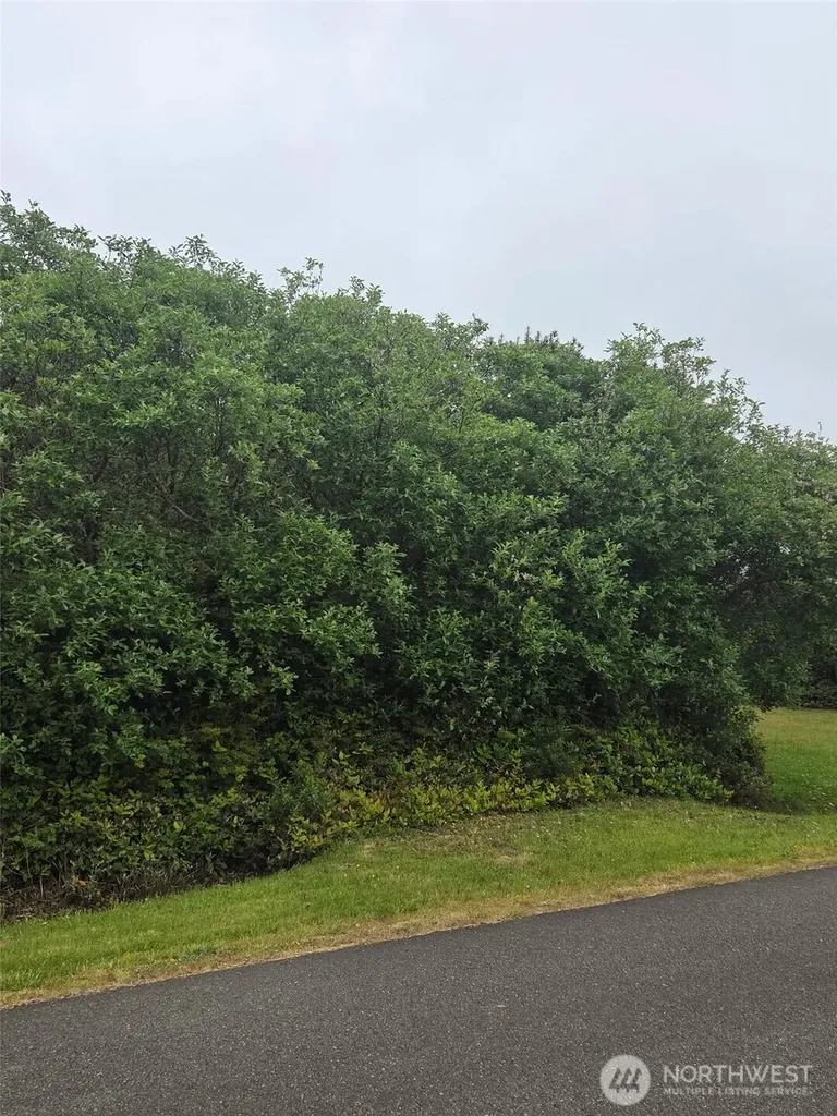 392 S Wynoochee Drive SW Ocean Shores WA 98569