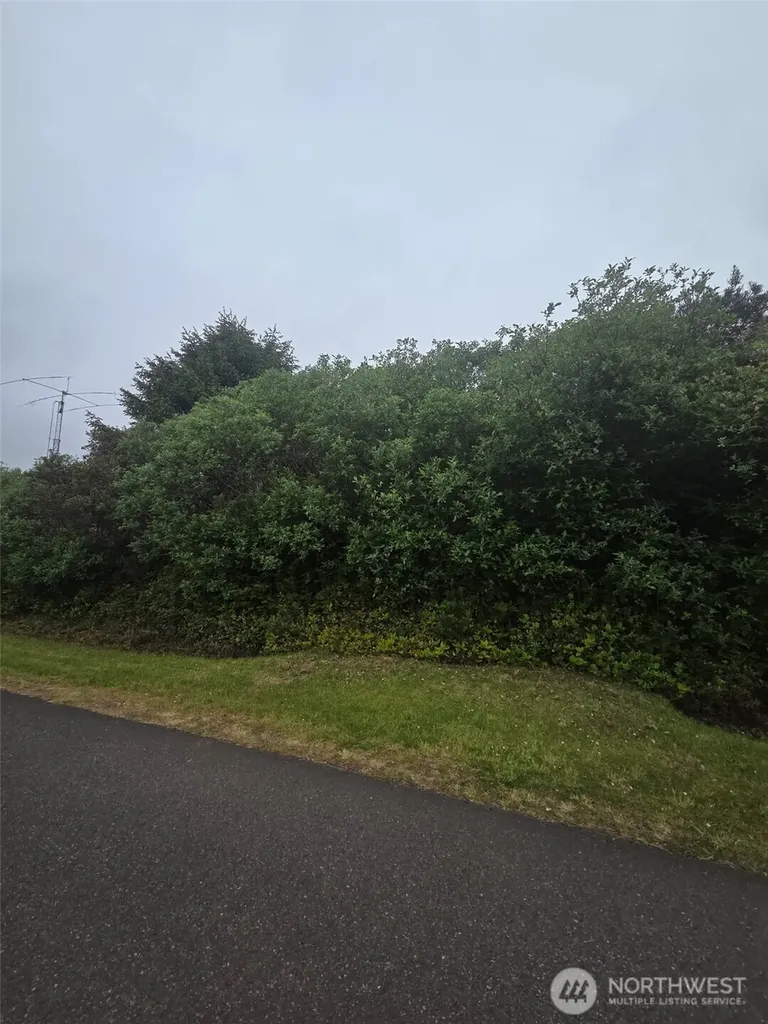 392 S Wynoochee Drive SW Ocean Shores WA 98569
