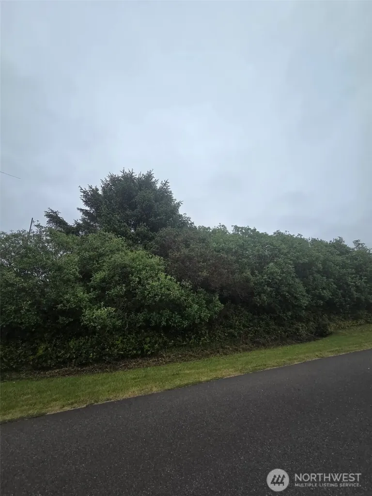 392 S Wynoochee Drive SW Ocean Shores WA 98569